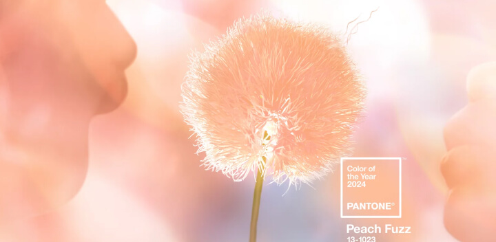 PANTONE 2024年度代表色正式发布—柔和桃3.jpg